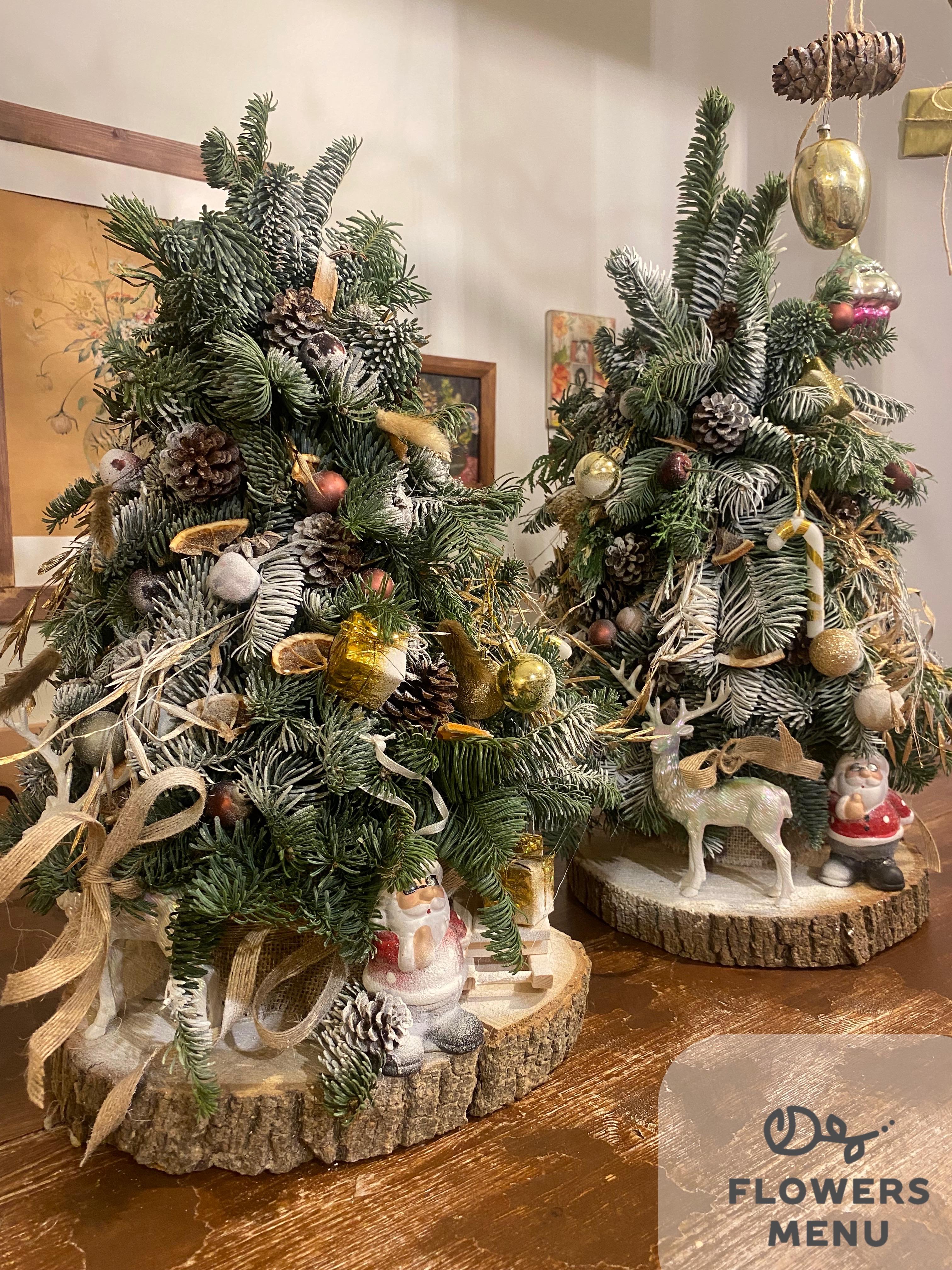 9727e2bb-b43d-4a80-a87a-356285e695b7-80f4ed13-e0d9-45ed-b431-dec6a6b4250c.jpg